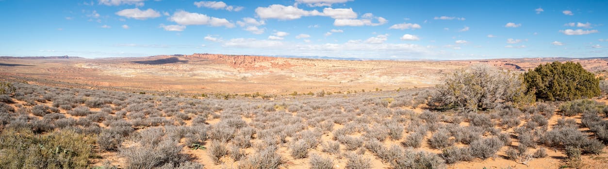 Navajo sandstone Desert Panorama landscape. Typical American beauty in nature. Travel and tourism in the USA