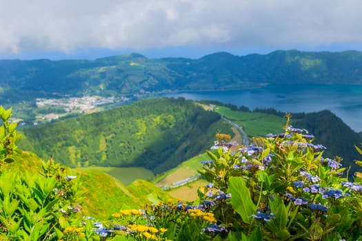 Wild flowers in the mountain in the lake of Sete Cidades, a volcanic crater lake on Sao Miguel island, Azores, Portugal. View from Boca do Inferno