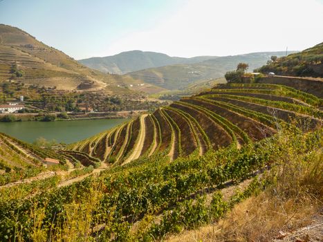 Douro Valey in Portugal with winery and vineyards landscape. Travel and Tourism