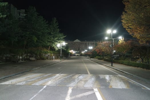 Night view of a paved pedestrian way or walk way with trees on sides for public walk