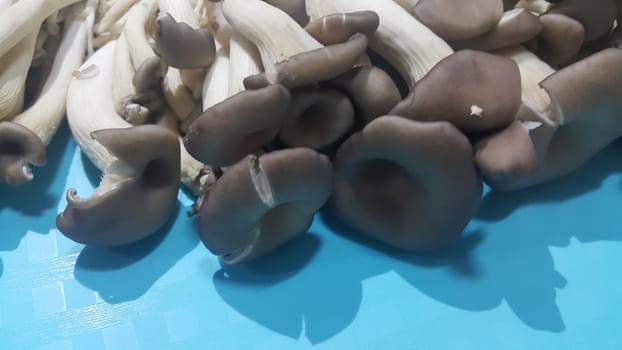 Closeup view of big pile of fresh harvested mushrooms. Food background of mushrooms in market for sale. A Vegetables background