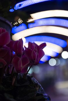 Christmas decorations in the city with light strips and projections