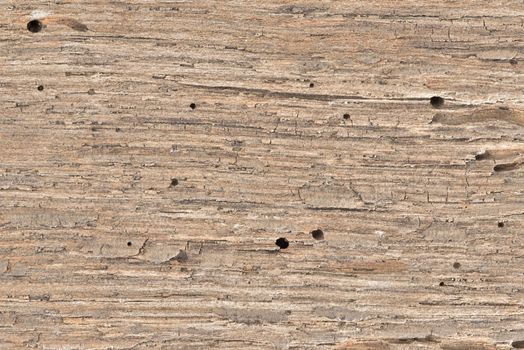 Texture of old wooden board. Old natural wooden background