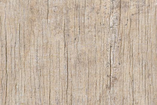 Texture of old wooden board. Old natural wooden background