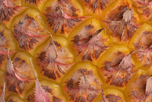 Ripe pineapple background. Texture Pineapple closeup. Ananas