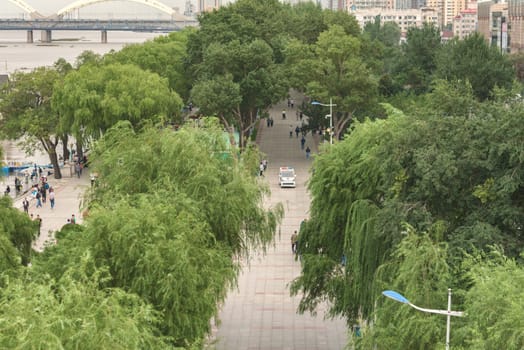 Street with green trees. View of a pedestrian street.