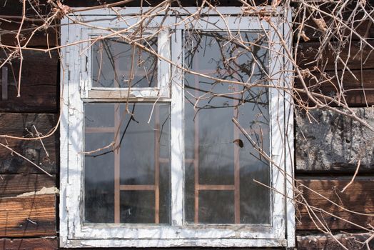 Window in the old house. Old wooden wal