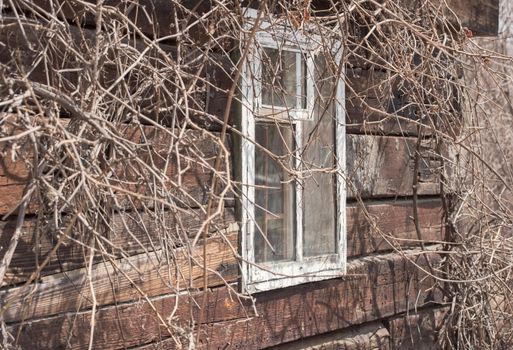 Window in the old house. Old wooden wal