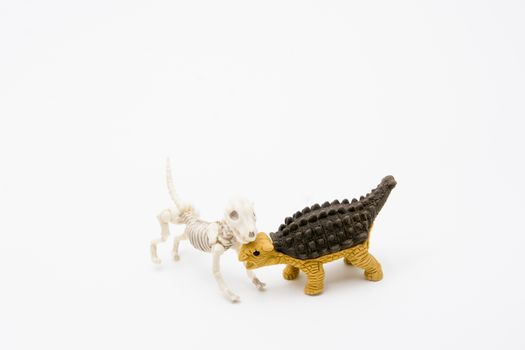 Skeleton dog and Ankylosaurus, friend relationship