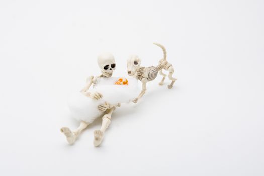 Skeleton mother with her children and a skeleton dog, happy moment for baby born.