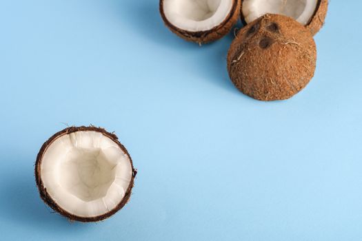 Coconut fruits on blue vibrant plain background, abstract food tropical concept, angle view macro