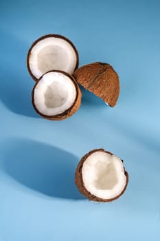 Coconut fruits on blue vibrant plain background, abstract food tropical concept, angle view copy space