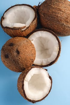 Coconut fruits on blue vibrant plain background, abstract food tropical concept, top view macro