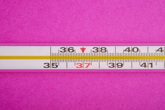 Analog thermometer on pink purple background, healthcare medical concept, antibiotics and cure, top view macro