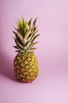 Fresh sweet pineapple on pastel blue purple background, angle view copy space