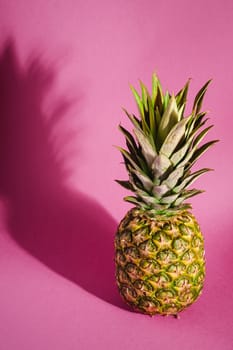 Fresh sweet pineapple on pink purple background with hard shadow, angle view copy space