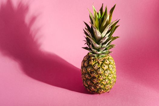 Fresh sweet pineapple on pink purple background with hard shadow, angle view copy space