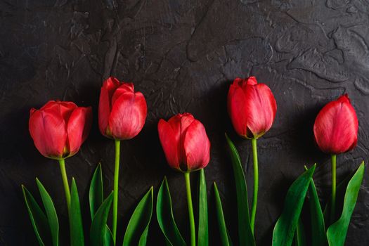 Row of tulip flowers on textured black background, top view copy space