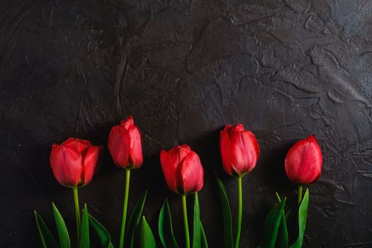 Row of tulip flowers on textured black background, top view copy space