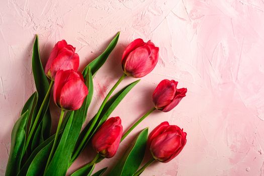 Bunch of red tulip flowers on textured pink background, top view copy space