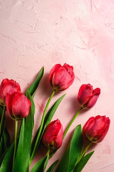 Bunch of red tulip flowers on textured pink background, top view copy space