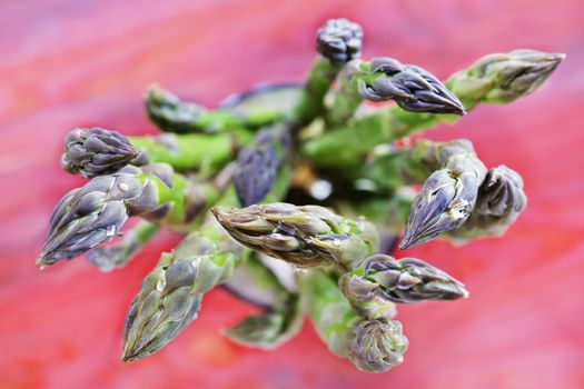 Overhead  bunch of green asparagus on a colored background , water drops on the vegetables ,macro photography