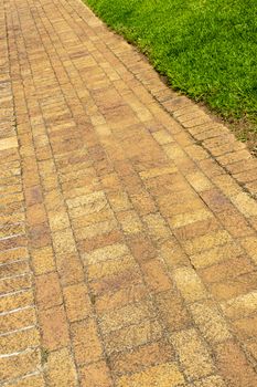 Pedestrian walkway and grass texture in Kirstenbosch, Cape Town.