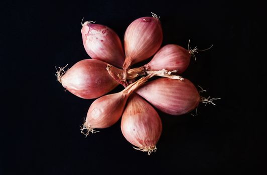 A beautiful bunch of shallots on a dark background , bulbs bright and copper  ,top view ,studio shot , geometric composition