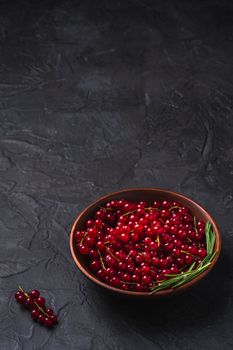 Fresh sweet red currant berries with rosemary leaves in wooden bowl, dark textured background, angle view copy space