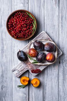 Fresh sweet plum fruits whole and sliced in plate with rosemary leaves on old cutting board with red currant berries in wooden bowl, grey wood background, top view