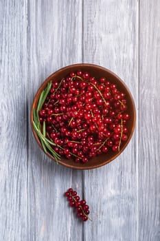 Fresh sweet red currant berries with rosemary leaves in wooden bowl, grey wood background, top view