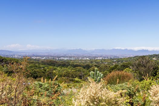 Panoramic view of Cape Town and nature in Kirstenbosch National Botanical Garden, South Africa.