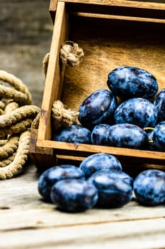 Ripe blue plums in a wooden crate in a rustic composition.