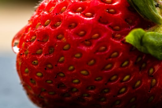 Close up of fresh strawberry showing seeds achenes. Water drop on fresh ripe red strawberry.