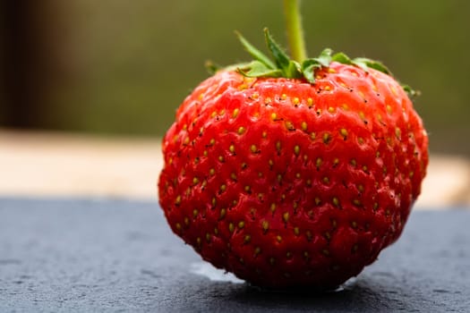 Close up of fresh strawberry showing seeds achenes. Details of a fresh ripe red strawberry.