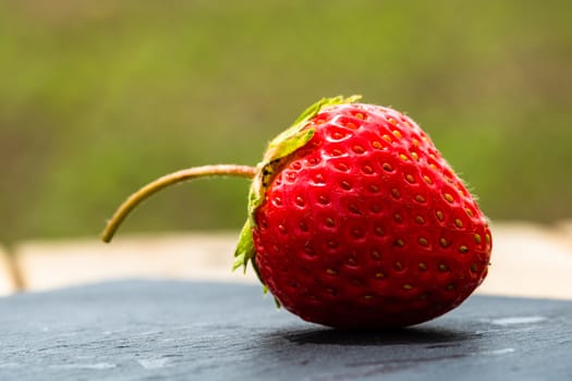 Close up of fresh strawberry showing seeds achenes. Details of a fresh ripe red strawberry.