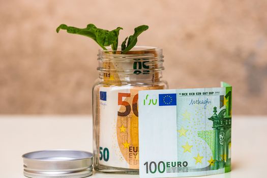 Plant growing from banknotes in a glass jar with copy space for text, investment and finance and money growth concept