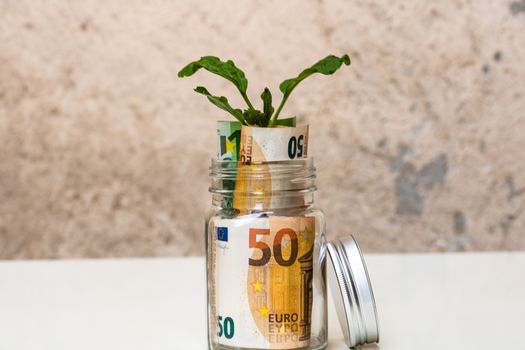 Plant growing from banknotes in a glass jar with copy space for text, investment and finance and money growth concept