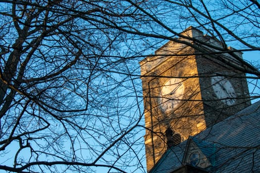 A Clocktower bathed in glowing orange sunlight with a dead tree in frame