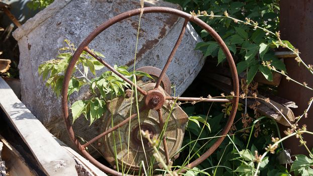 old rusty concrete mixer in the grass