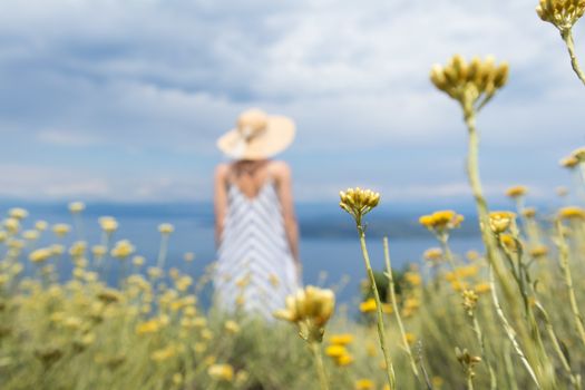 Rear view of young woman wearing striped summer dress and straw hat standing in super bloom of wildflowers, relaxing while enjoing beautiful view of Adriatic sea nature, Croatia. Focus on flowers.