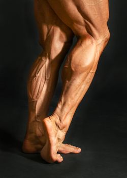 Detail of male bodybuilder back leg calf muscles on black background. Gastrocnemius and soleus.