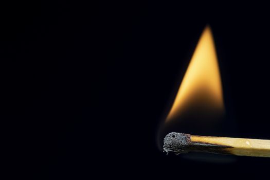 Match burning after being lit showing flame against black background with large copy space.