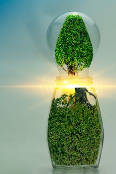 Abstract Light Bulbs and Trees Clean Energy Concept, Sustainable Environmental Conservation for Future Generation.