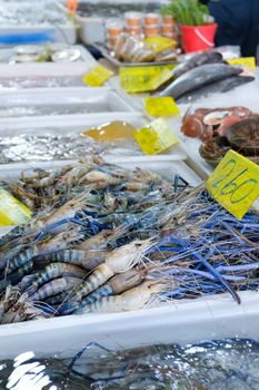 Fresh river shrimp in seafood market