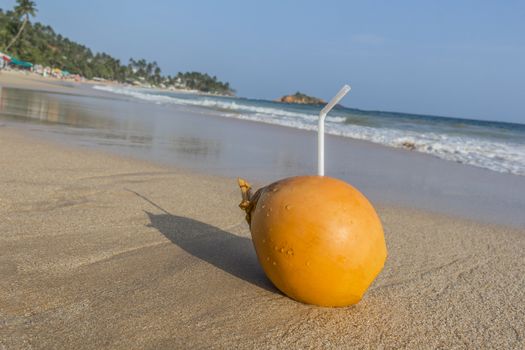 Coconut with drinking straw. Mirissa Beach in beautiful Island Sri Lanka.