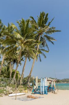 Surfboards and water sport at the Mirissa Beach, Sri Lanka