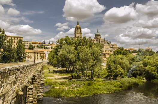 The river tormes crosses the history in this ancient city of the community of castile and leon