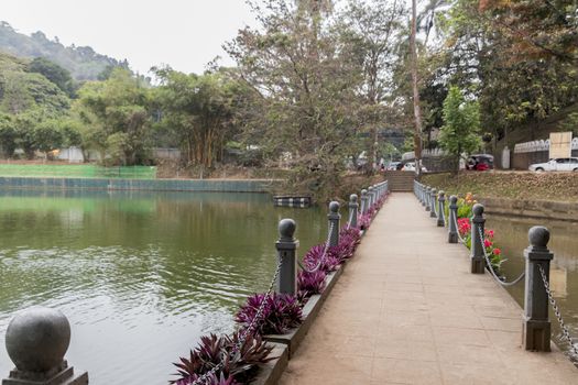 Bridge and river in Kandy, Sri Lanka with flowers and nature.