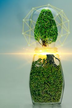 Abstract Light Bulbs and Trees Clean Energy Concept, Sustainable Environmental Conservation